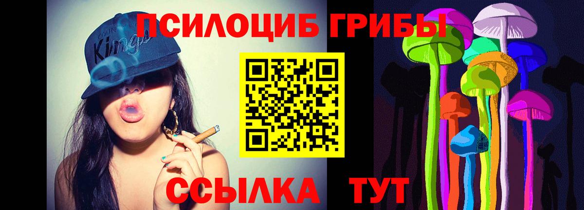 Псилоцибиновые грибы мухоморы Электросталь